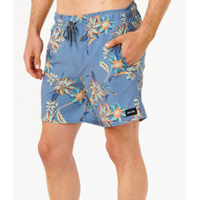 Boardshorty męskie RIP CURL Sessions Volley niebieskie
Boardshorty męskie RIP CURL Sessions Volley niebieskie