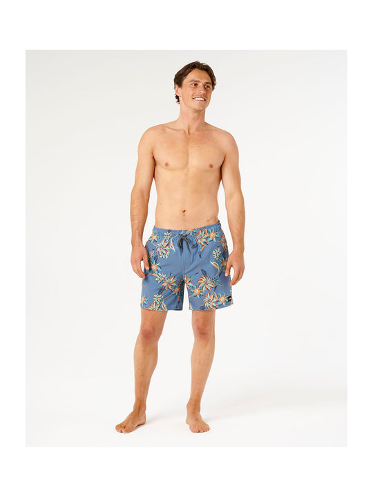 Boardshorty męskie RIP CURL Sessions Volley niebieskie
Boardshorty męskie RIP CURL Sessions Volley niebieskie