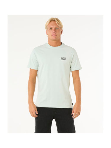 Kolor: mint