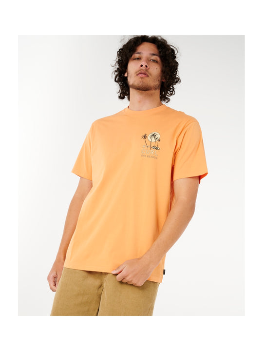 Koszulka męska RIP CURL Aots - Cody Welsh Palms Tee pomarańczowa
