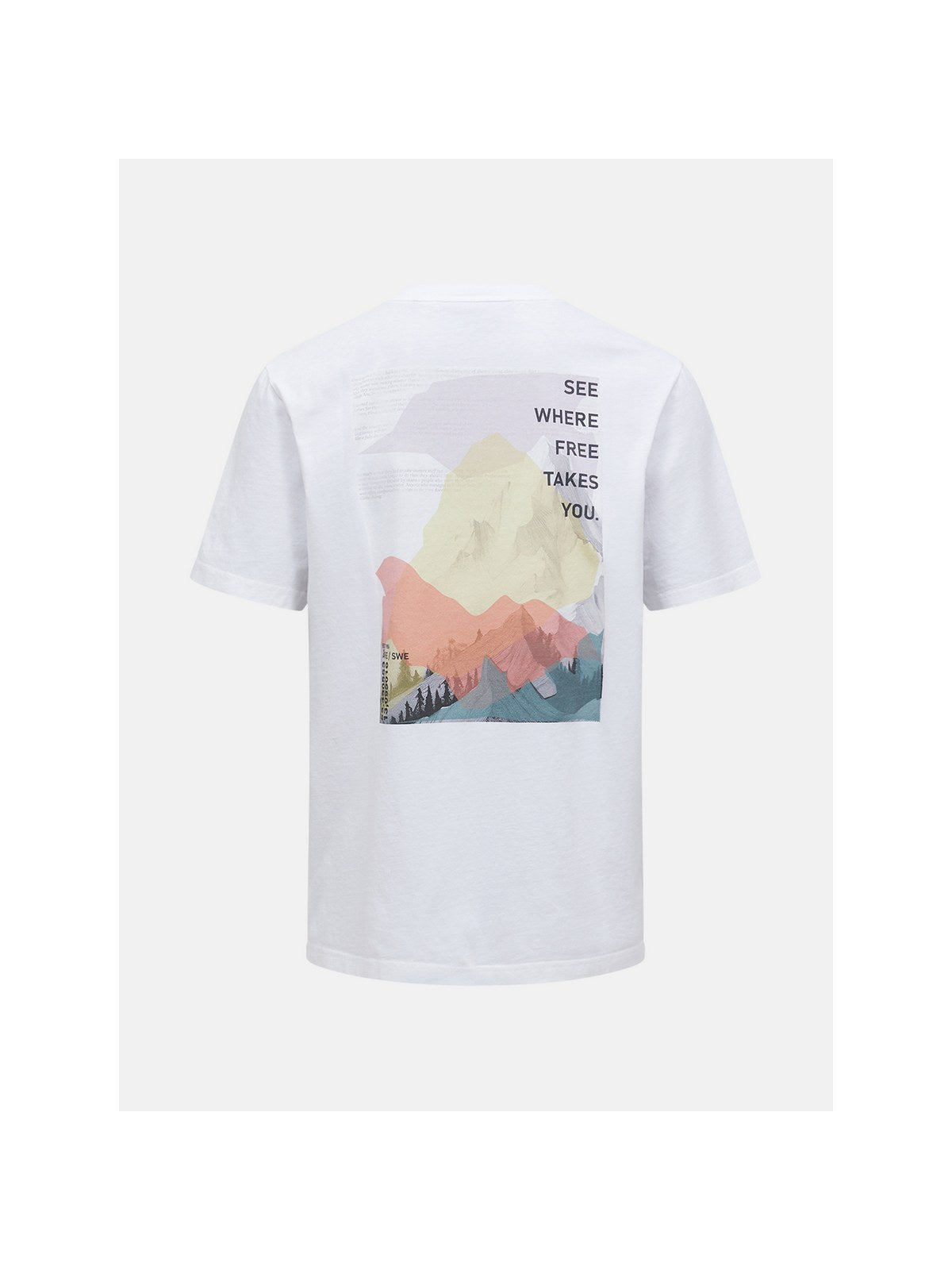 adventuresports koszulka-peak-performance-m-original-graphic-tee-g80832010-089 detail