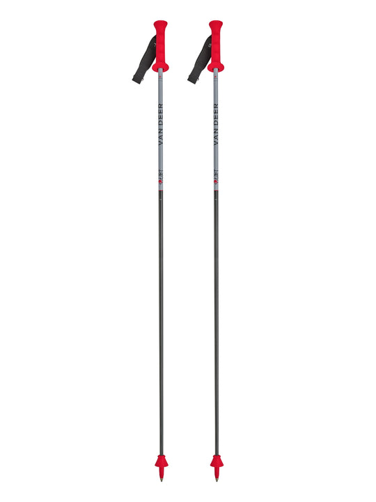 Kije narciarskie VAN DEER RACE GS CARBON kolor szary
