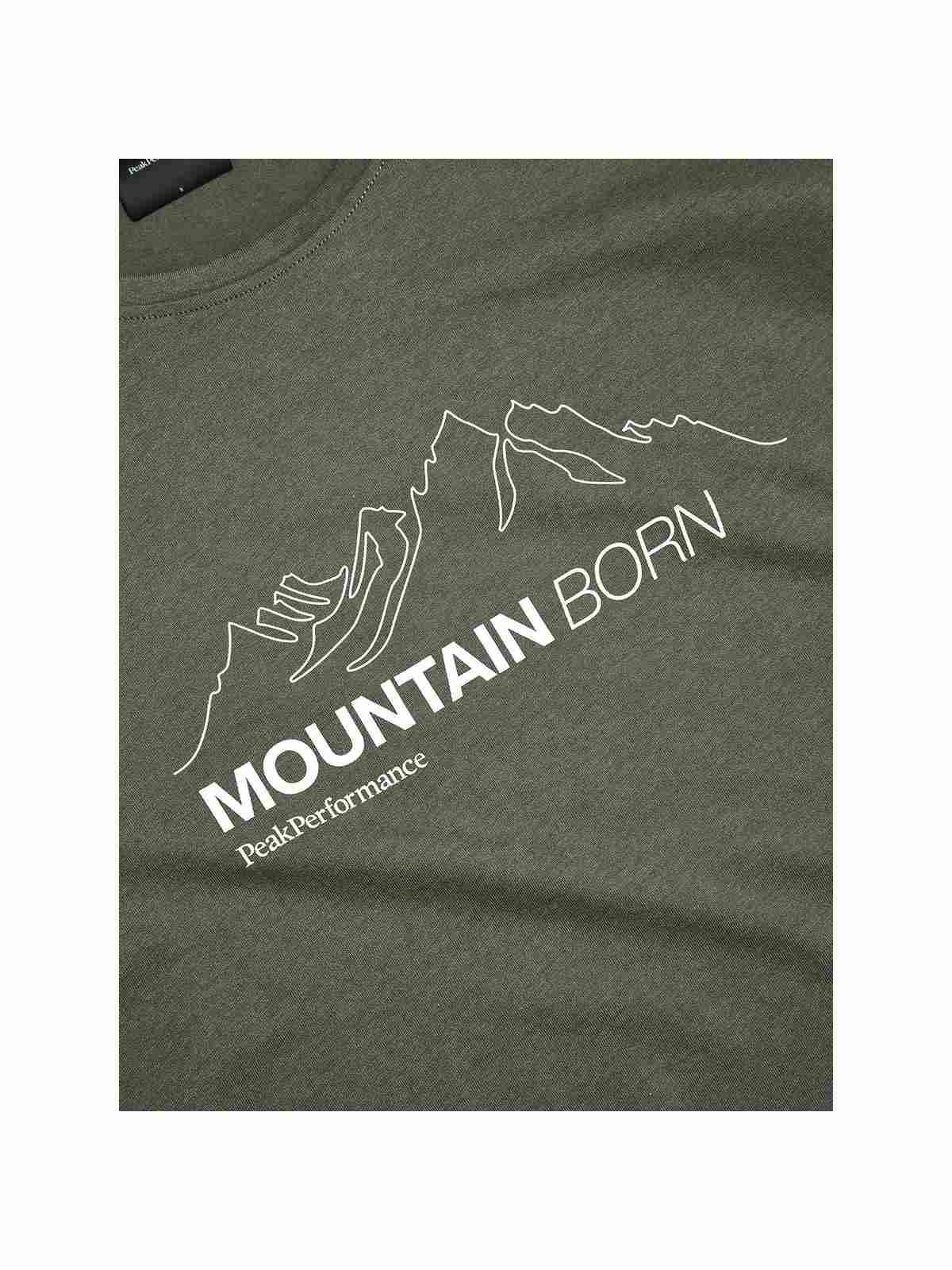 Koszulka Peak Performance W Explore Graphic Tee zielony - Adventure Sports
