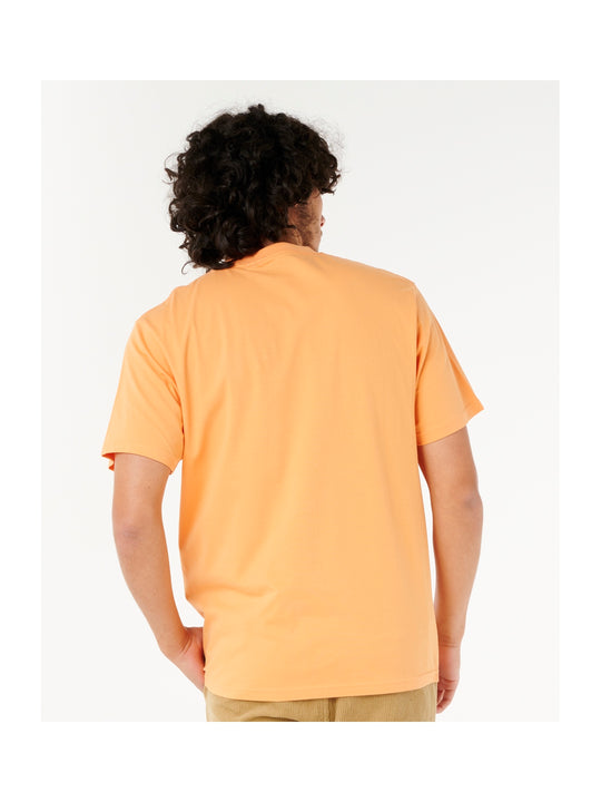 Koszulka męska RIP CURL Aots - Cody Welsh Palms Tee pomarańczowa
