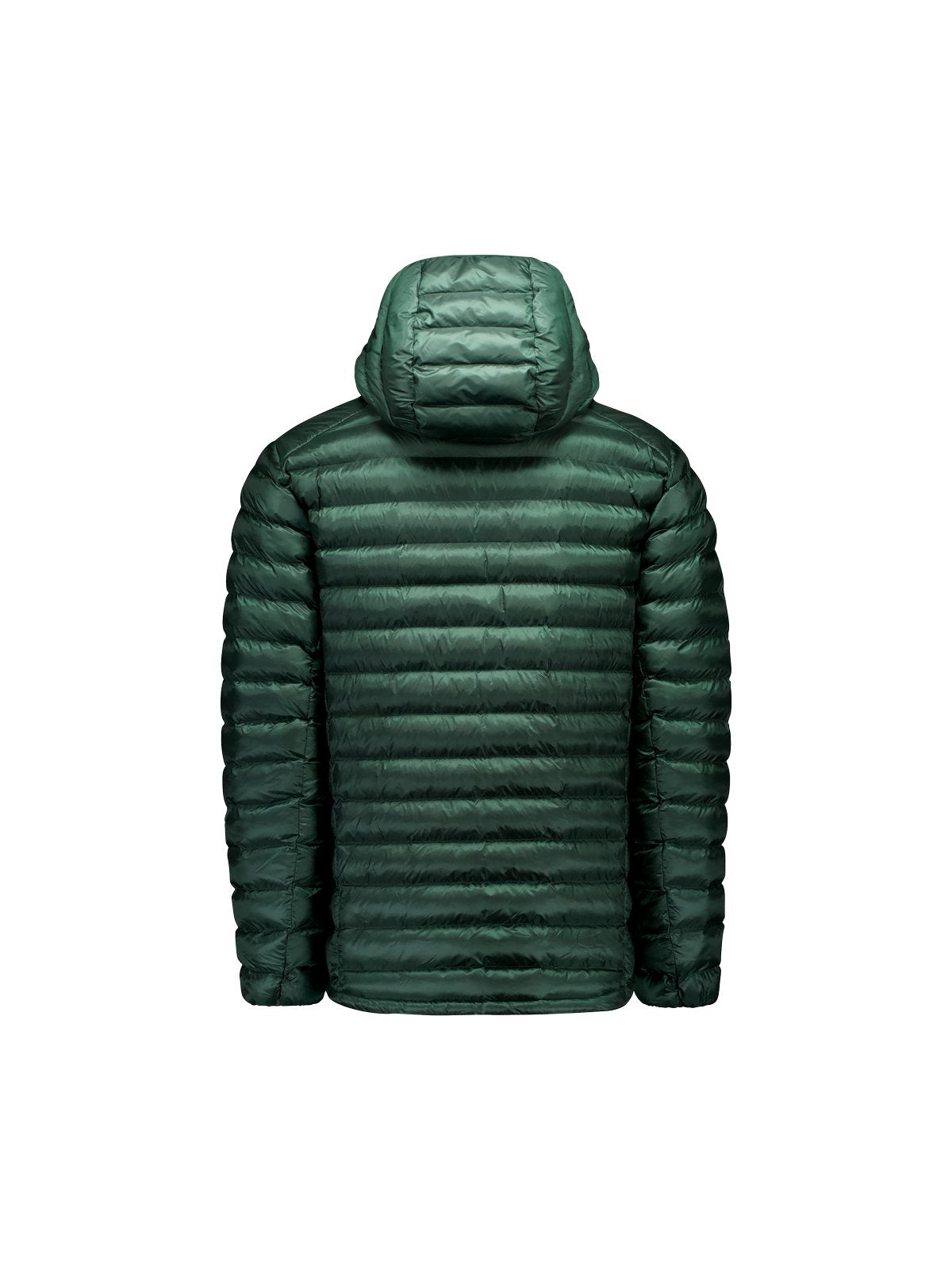 Kurtka męska POC M's Coalesce Jacket zielona