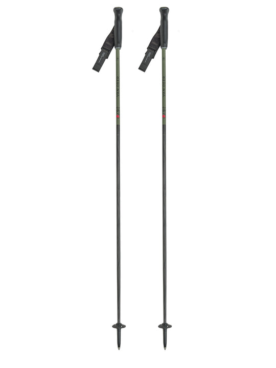 Kije narciarskie VAN DEER PISTE CARBON khaki
