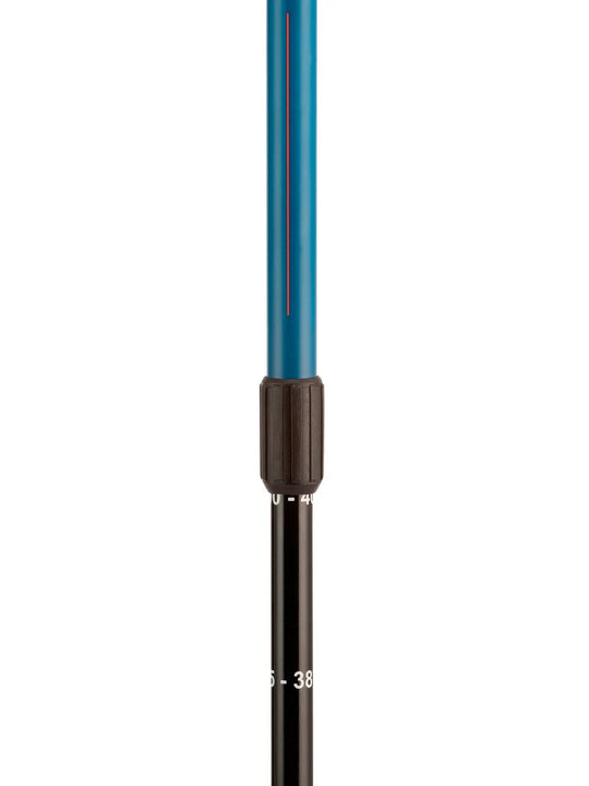 Kije narciarskie ROSSIGNOL Telescopic Jr - niebieski - TU - Adventure Sports

