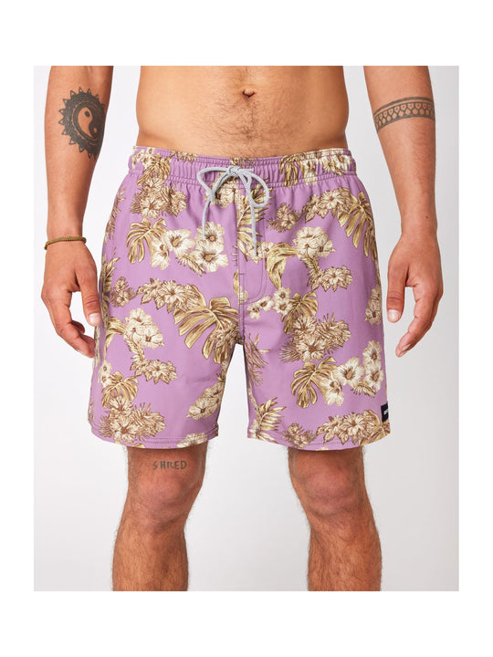 Boardshorty RIP CURL New Yargade Volley fioletowy - Adventure Sports
