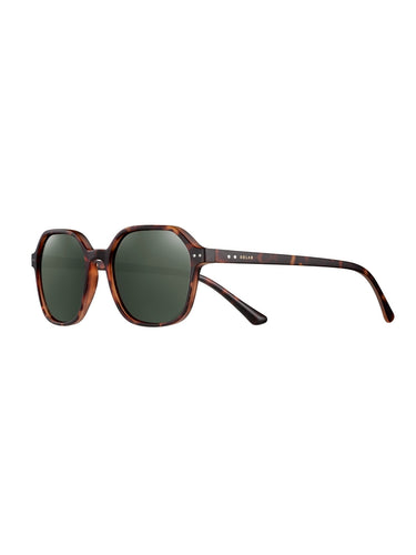 Kolor: Brown Tortoiseshell