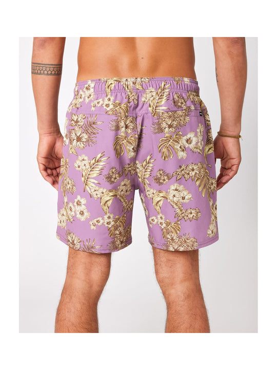 Boardshorty RIP CURL New Yargade Volley fioletowy - Adventure Sports
