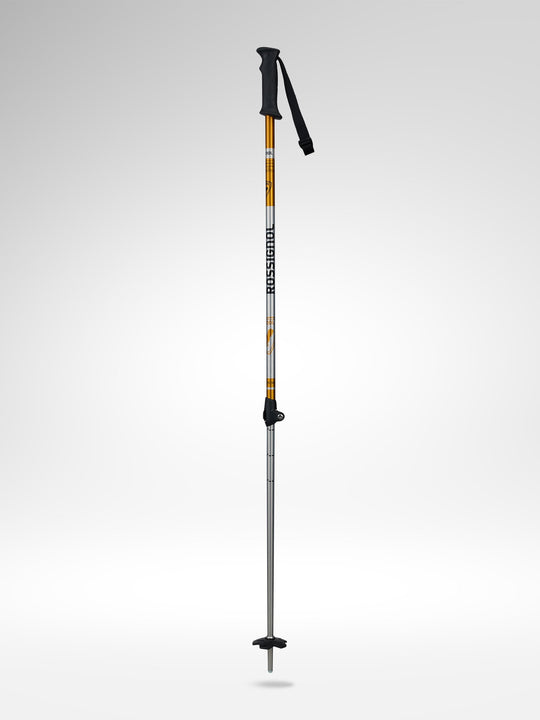 Kije narciarskie ROSSIGNOL Rental Telescopic Sr
