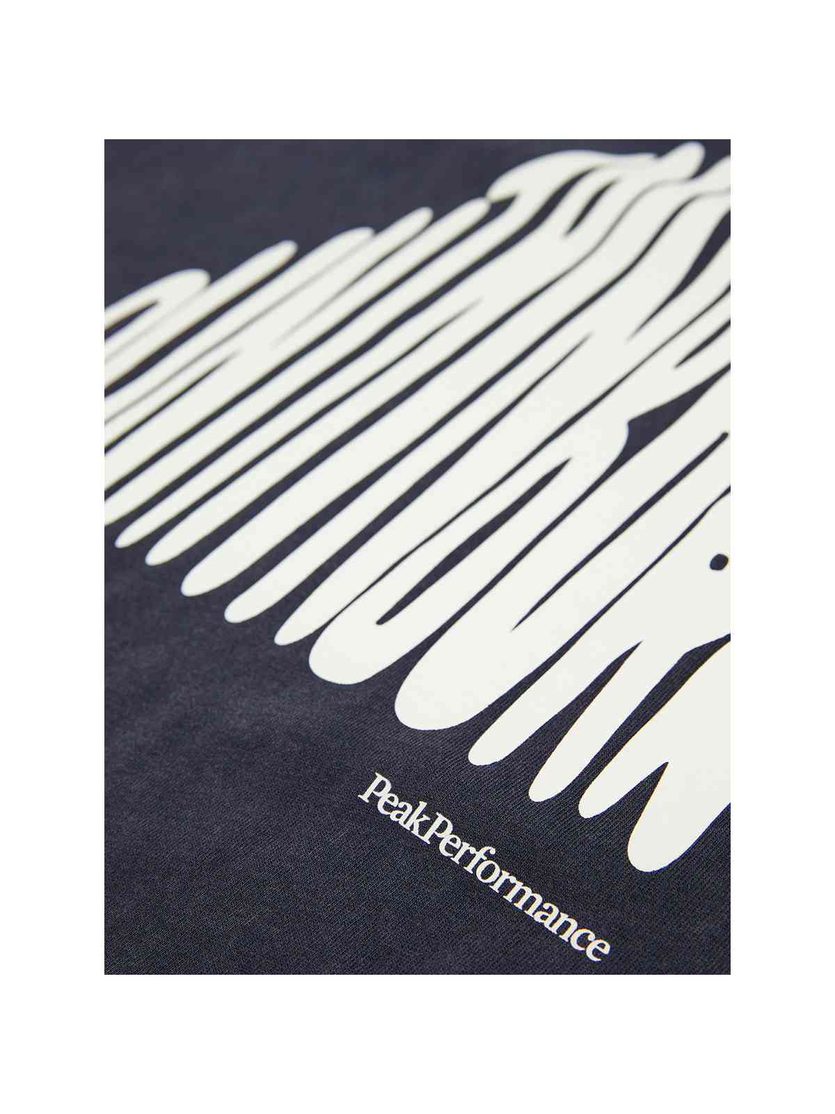 Koszulka Peak Performance M Graphic Tee czarny - Adventure Sports