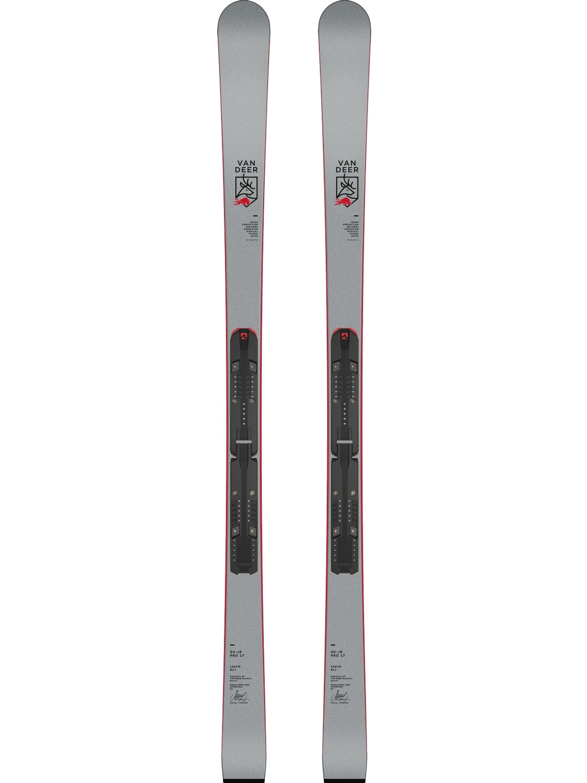 Narty Van Deer GS-JR PRO szary