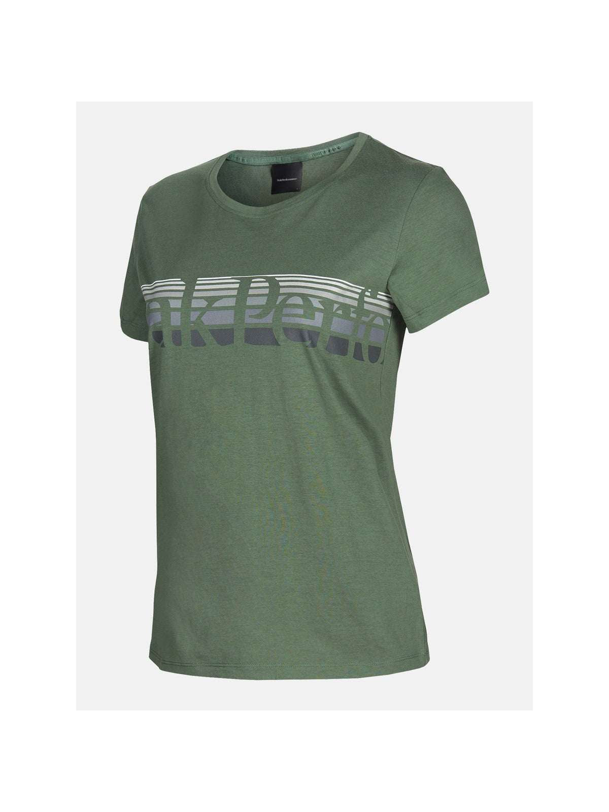T-Shirt PEAK PERFORMANCE W Explore Tee alpine tundra - Koszulka - Adventure Sports