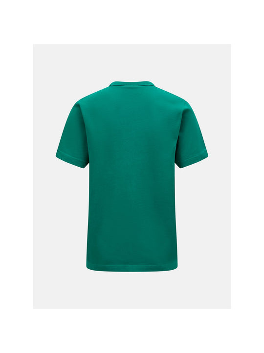 T-Shirt Peak Performance FWT M Moment Tee zielony - Koszulka - Adventure Sports
