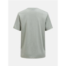 Koszulka Peak Performance M Explore Graphic Tee zielony - Adventure Sports

