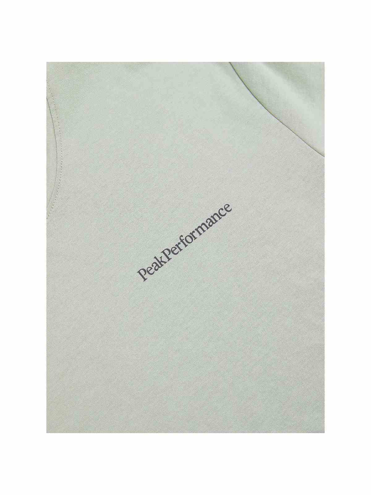 Koszulka Peak Performance M Explore Logo Tee zielony - Adventure Sports